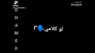 حالات واتساب    صحبي دلدول عالحريم دندنها