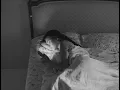Madison Beer - you're still everything (Official Visualizer)
