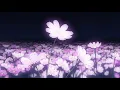 Still Woozy - Kenny [slowed + reverb]
