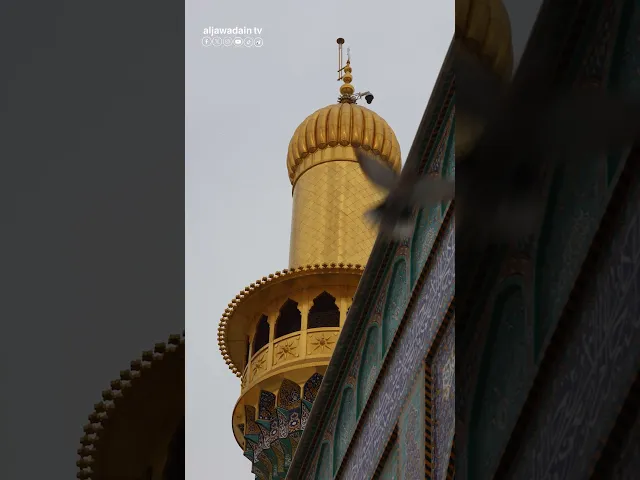 ⁣مع كل نبضة قلب صوت يتردد أنتم الأمان وحبكم الفوز بالجِنان وكل شيءٍ منكم ولا يخيب من يسعى إليكم.