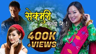 स क म र फ ल य Sekmuri Fulyo Kushal Thalang Limbu Melina Rai Ft Shrijana Shailendra 2017  स क म र फ ल य Sekmuri Fulyo Kushal Thalang Limbu Melina Rai Ft Shrijana Shailendra 2017