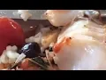 Customer says worm found crawling out of fish at restaurant in Asbury Park