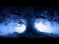 Change Desktop wallpaper with Python Windows background automatically change
