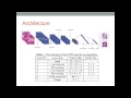 Pattern Recognition Final Report Presentation