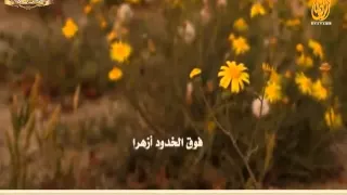 يا بارق لاح كلمات بديوي الوقداني أداء مسعود المقاطي 
