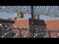 Richland County speaks out about living conditions at Alvin S Glenn Detention Center