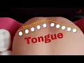 Remember the papillae of tongue