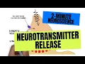 Download Lagu 2-minuten neurowetenschap: neurotransmittervrijgave