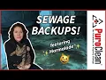 What do to during a Sewage Backup - PuroClean Restoration Cranford
