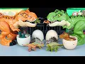 Download Lagu 12 DINOSAURS: 2 BIG T-REX, TRICERATOPS, STEGOSAURUS, ANKYLOSAURUS, PTERANODON \u0026.\u0026..ASMR - DKT 240524