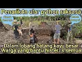 Download Lagu VIRAL PENAR1KAN KELUAR NYA ULAR PYTHON RAKSASA DARI LOBANG BATANG KAYU DI KEBUN WARGA SEMUA HEBOH MP3