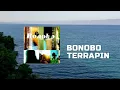 Terrapin - Bonobo