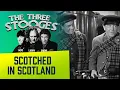 THREE STOOGES - Scotched in Scotland