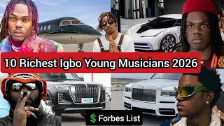 2026 top 10 richest igbo young nigerian musicians 2026 networth cars houses biography music