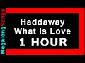 Download Lagu Haddaway - What Is Love 🔴 [1 HOUR] ✔️