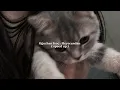 Heyecandan - #speed up
