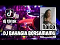 Download Lagu DJ Haico - Bahagia Bersamamu ( dj adigun remix )