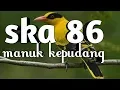 Download Lagu SKA 86-MANUK KEPUDANG(LIRIK)