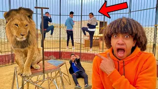 اخر واحد يطلع من قفص الاسد يكسب 50 000 جنيه كان هياكلنى L LAST TO LEAVE LION CAGE WINS 50 000 