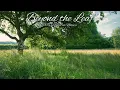 Early Morning in an Old English Orchard | Birdsong, Gentle Wind & Countryside Sounds