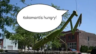 Investigate Indiana Tours Kokomo