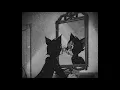 Download Lagu Timmies - Tell Me Why I’m Waiting (slowed)
