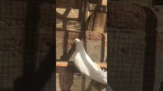 انا محير ناس كتير 