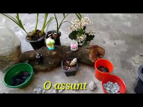 PEDRA BRITA NAS ORQUÍDEAS QUAL O TAMANHO IDEAL PARA USAR NOS VASINHOS