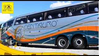 História de Sucesso no transporte.