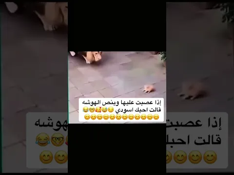 لما تقولي خلودي 😍🤣