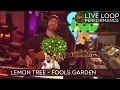 Download Lagu Lemon Tree | Fools Garden
