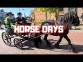 From Inspections to Ring Riding | Incredible Horse Days! | Friesian Horses