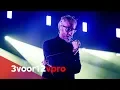 Lagu The National - Light Years (live at Lowlands 2019)