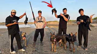أول رحلة صيد في الموسم - جنون الكلاب في البر !! 🐕‍🦺🔥