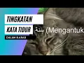 Download Lagu Tingkatan kata tidur dalam bahasa arab