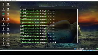 Linux Shell Scripting String comparison