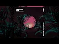 David Guetta & Sia - Flames (Leandro Da Silva Remix)