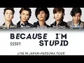 Download Lagu SS501 – BECAUSE I’M STUPID (내 머리가 나빠서) (Han/Rom/Eng) Color Coded Lyrics