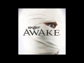 Download Lagu Skillet - One Day Too Late