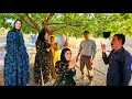 Download Lagu Dangerous Deal | Fatemeh's Neighbor's Secret and Farhad's Condition to Save the House