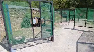                                   دندنها