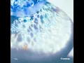 androp "Vidro" Official Audio