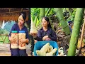 Download Lagu It took Pana more than a day and a night to make the chili bamboo shoot dish