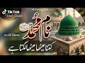 Lagu Naam E Muhammad Kitna Meetha Meetha Lagta Hai | Sarkar Ka Mangta | Naat Sharif | Sufyan Sarwar