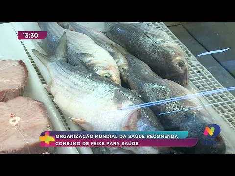 Benefícios do Peixe: OMS recomenda consumo de peixe para saúde