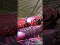 Download Lagu ini udah jadi semua bantal guling nya