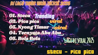 dj lagu viral terbaru tiktok 2025 stecu stecu pica pica lagudj laguviral stecu stecustecu