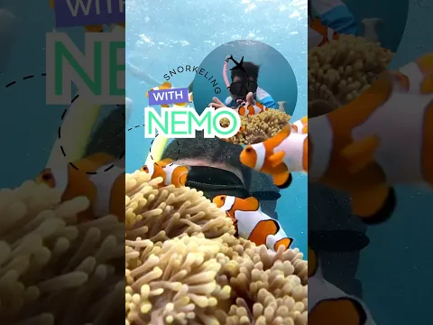 Paket Wisata Karimunjawa Juni 2026