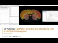 CIF Tutorials QuPath Counting and classifying cells in multiple brain regions