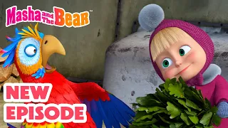 Masha And The Bear 2025 NEW EPISODE It S No Slice Of Heaven Best Cartoon Collection 